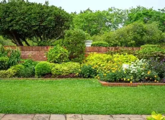 landscaping services South Wallins